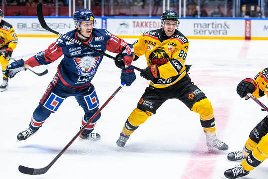 Linköpings Henrik Törnqvist och Luleås Joonas Rask