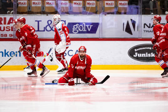 Timrås Robin Hanzl