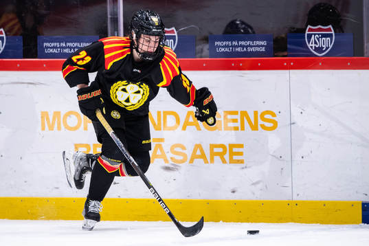 Brynäs Moa Wernblom