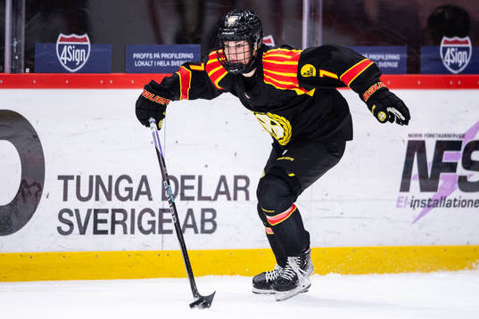 Brynäs Lindsay Paige Agnew