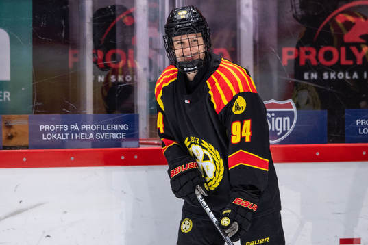 Brynäs Anna Meixner