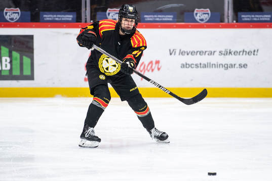 Brynäs Anna Meixner