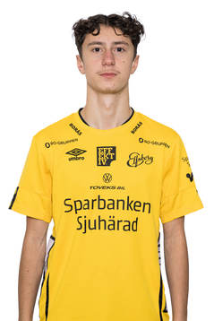 Erdion Svarga
