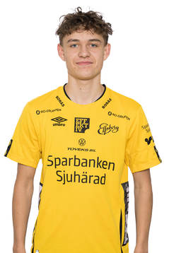 Viggo Lidberg