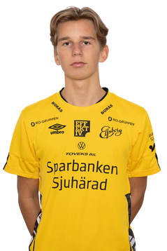 Folke von Schedvin