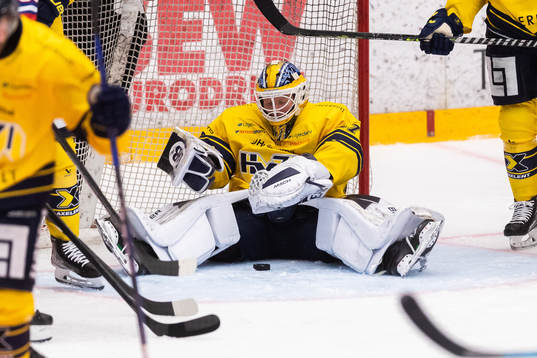 HV71s målvakt Jonas Gunnarsson