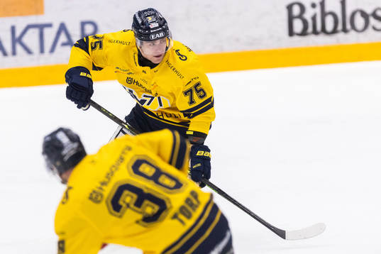 HV71s Radan Lenc