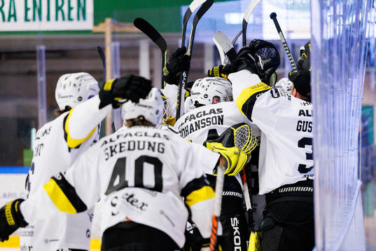 Västerås spelare jublar