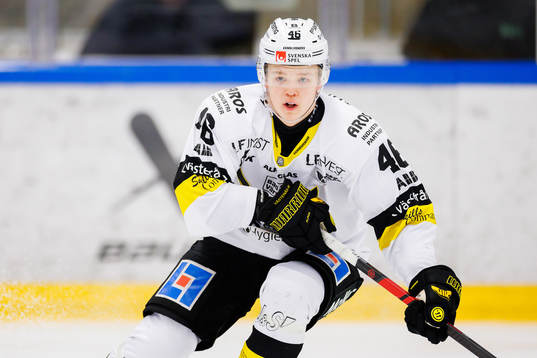 Västerås Liam Dower Nilsson