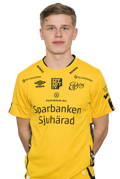 Gottfrid Rapp
