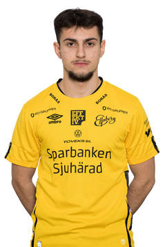 Hari Bajrektarevic