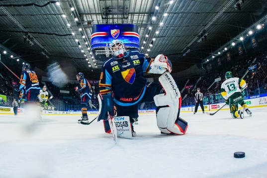 Djurgårdens målvakt Matthew Galajda deppar