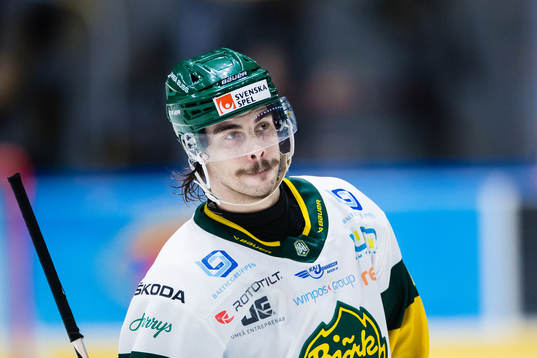 Björklövens Gustav Possler