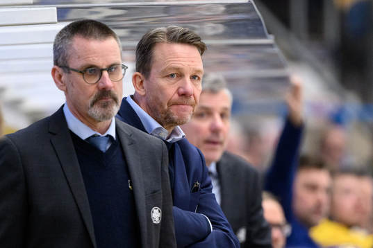 HV71s assisterande tränare Charles Berglund
