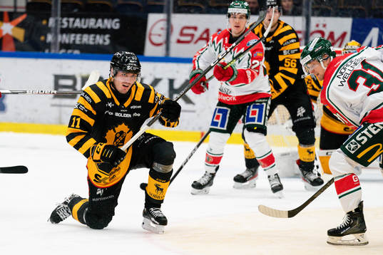 Skellefteås Max Lindholm