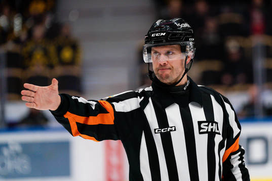 Domare Johan Magnusson