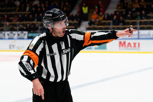Domare Johan Magnusson