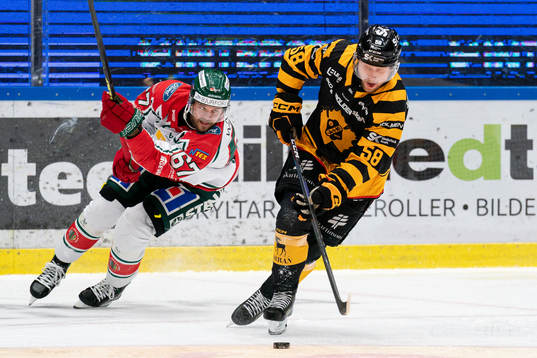 Frölundas Jacob Nilsson och Skellefteås Oskar Nilsson