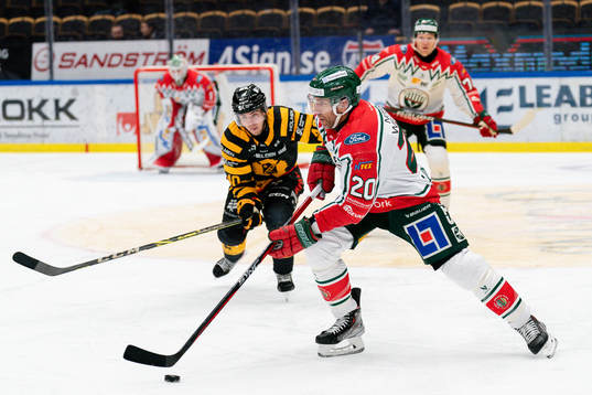 Frölundas Joel Lundqvist och Skellefteås Andreas Wingerli