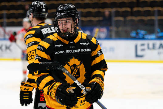 Skellefteås Axel Sandin-Pellikka