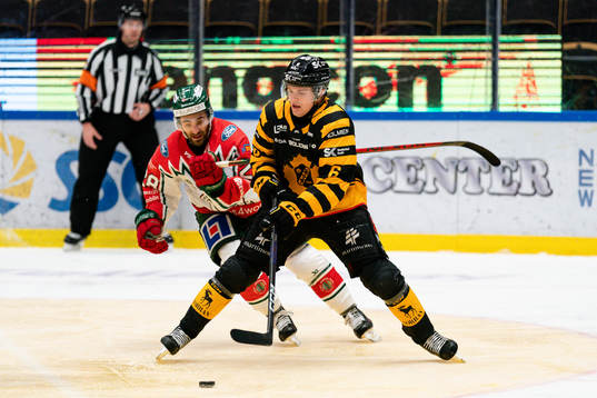 Skellefteås Måns Forsfjäll och Frölundas Anthony Greco