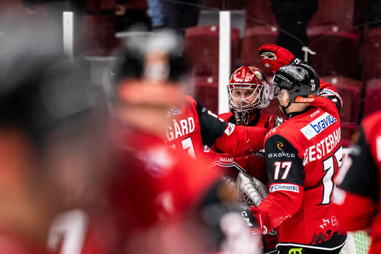 Malmö Redhawks målvakt Brandon Maxwell jublar med Pathrik