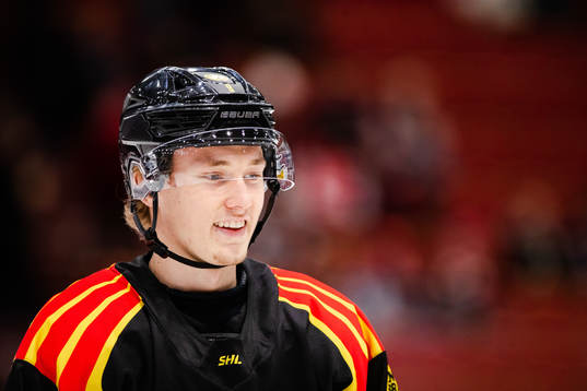 Brynäs William Strömgren