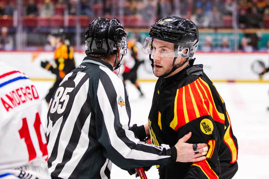 Brynäs Johan Larsson