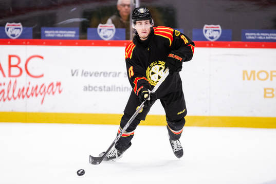 Brynäs Samuel Johannesson