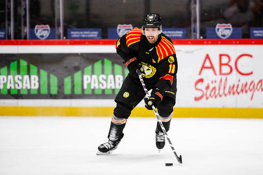 Brynäs Anton Rödin