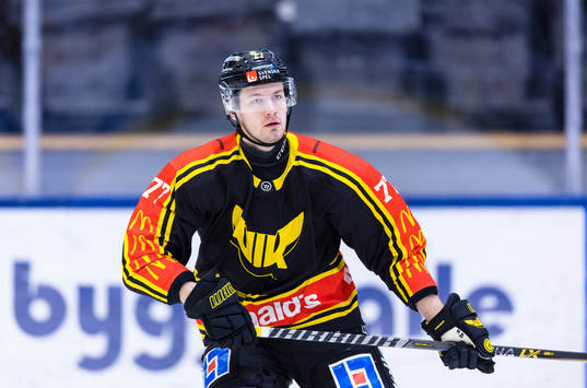 Västerås Ludvig Jardeskog