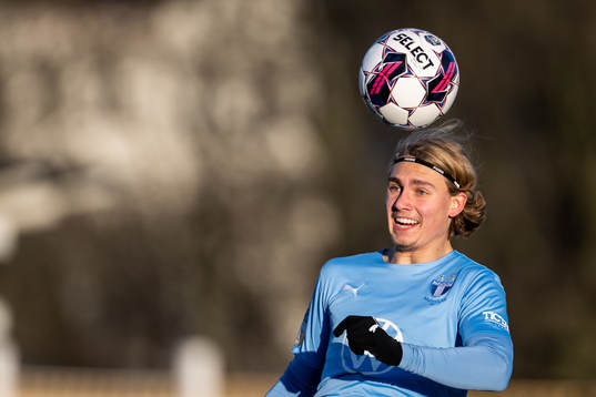 Malmö FFs Sebastian Nanasi