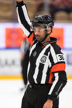 Domare Fredrik Rönnberg