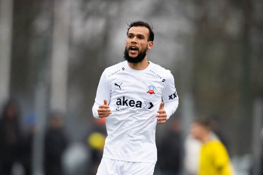Helsingborgs Sumar Almadjed