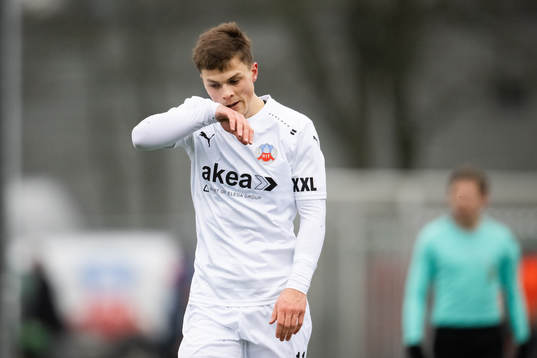Helsingborgs Erik Ring