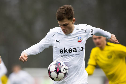 Helsingborgs Erik Ring