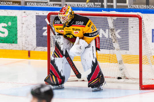 Luleås målvakt Matteus Ward