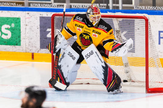 Luleås målvakt Matteus Ward