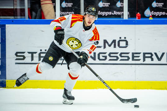 Brynäs Dmytro Timashov