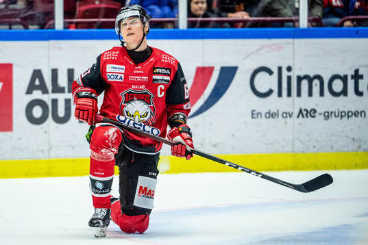 Malmö Redhawks Fredrik Händemark deppar