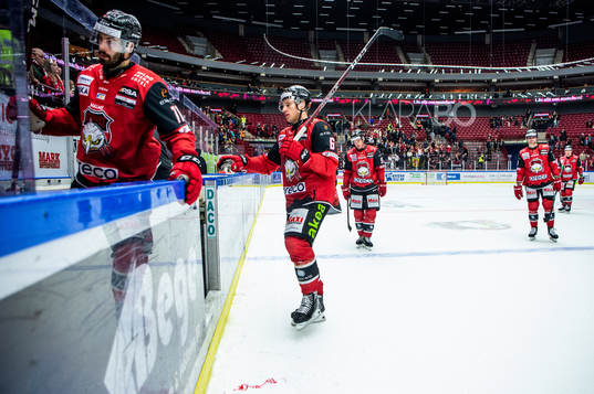 Malmö Redhawks Theodor Johnsson deppar med lagkamraterna