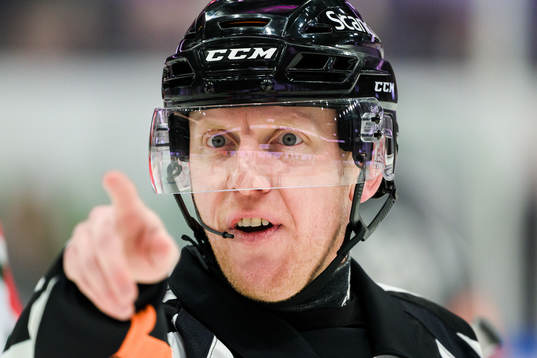 Domare Mikael Holm