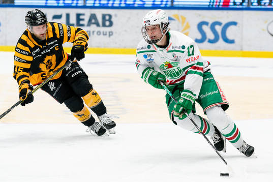 Rögles Felix Nilsson och Skellefteås Oscar Möller