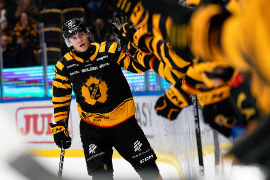 Skellefteås Rickard Hugg jublar