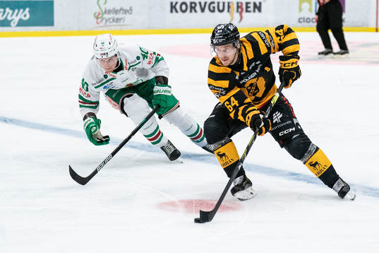 Rögles Oskar Stål-Lyrenäs och Skellefteås Jonathan Pudas