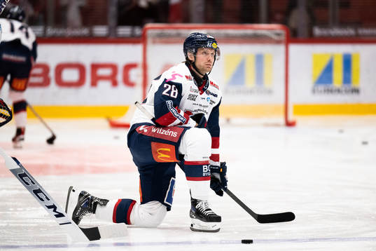 Linköpings Fabian Wagner