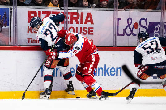 Linköpings Vilmos Gallo och Timrås Joonas Lyytinen