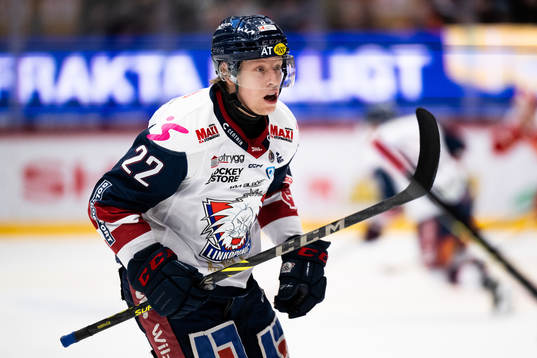 Linköpings Vilmos Gallo