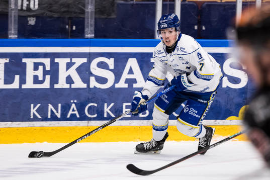 Leksands Marcus Karlberg