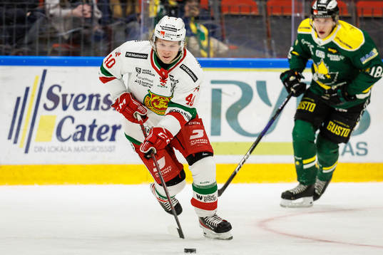 Moras Anton Heikkinen